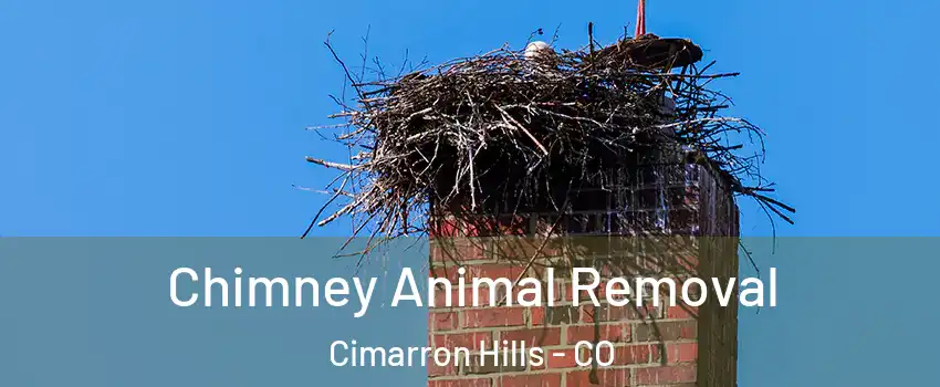  Chimney Animal Removal Cimarron Hills - CO