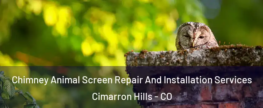 Chimney Animal Screen Repair And Installation Services Cimarron Hills - CO