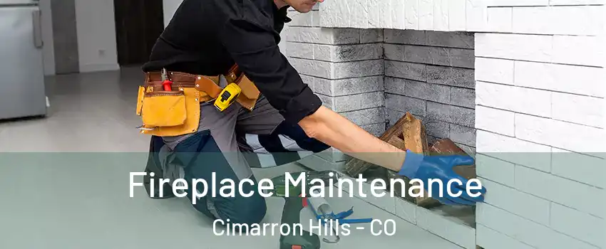  Fireplace Maintenance Cimarron Hills - CO