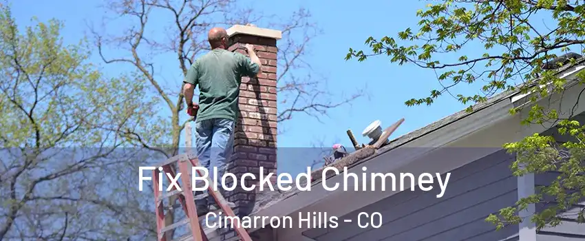  Fix Blocked Chimney Cimarron Hills - CO