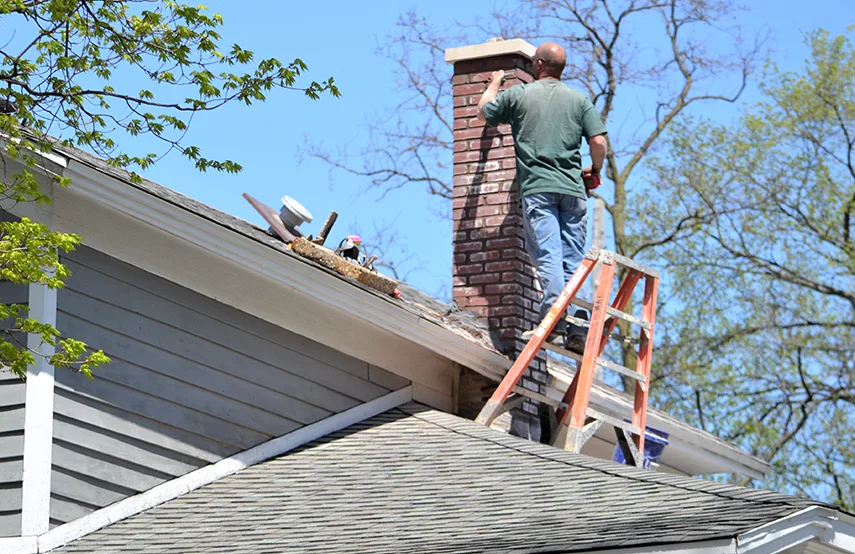 Chimney & Fireplace Inspections Services in Cimarron Hills, CO
