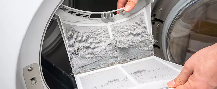 Best Dryer Lint Removal Company in Cimarron Hills, Colorado