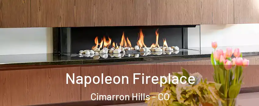 Napoleon Fireplace Cimarron Hills - CO